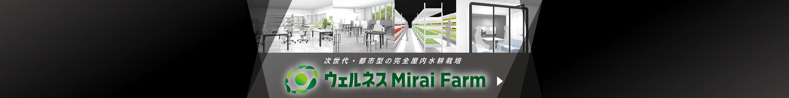 次世代・都市型の完全屋内水耕栽培 ウェルネスMIRAIFARM